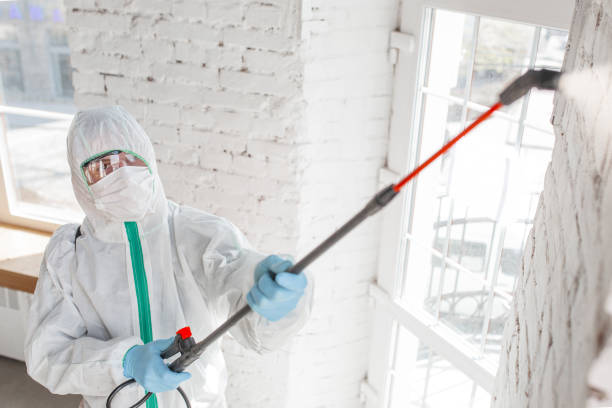 Mold Remediation for Rental Properties in Stiles, PA