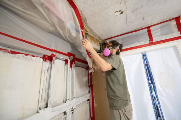 Mold Remediation for Vacation Homes in Stiles, PA